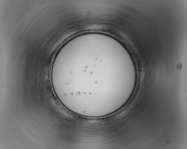 X0000114441017200911131511