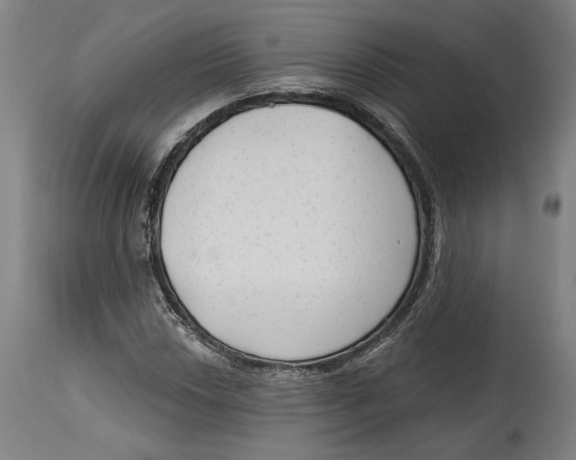 X0000114441018200911131511