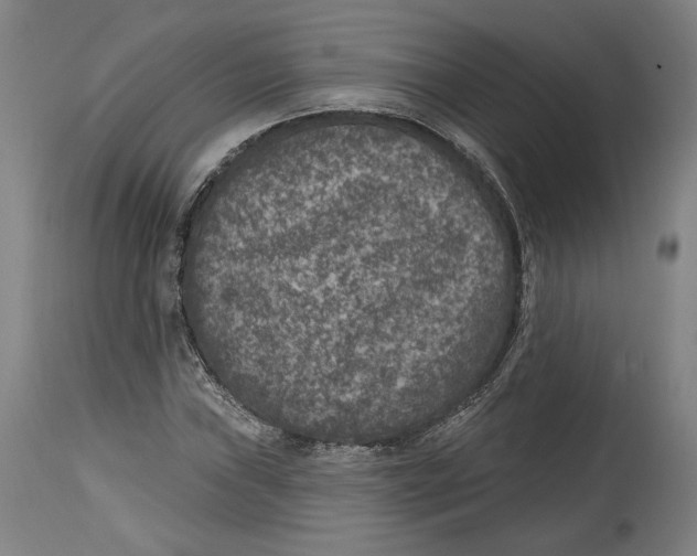 X0000114441019200911131511