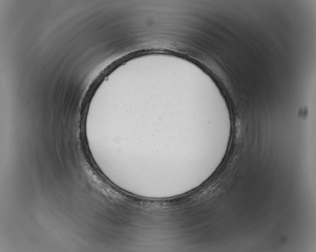 X0000114441020200911131511