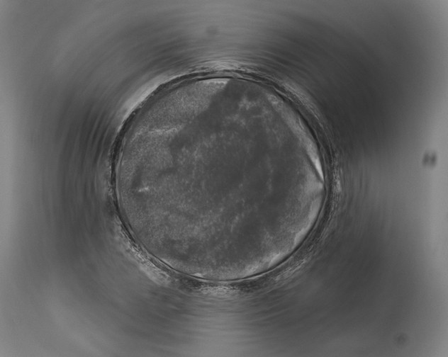 X0000114441023200911131511