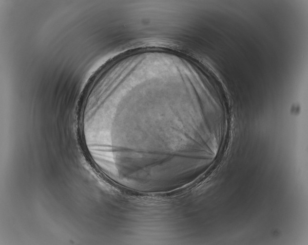 X0000114441024200911131511