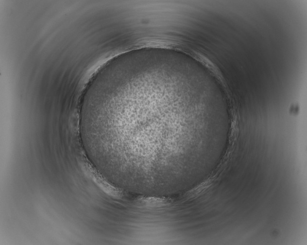 X0000114441027200911131511