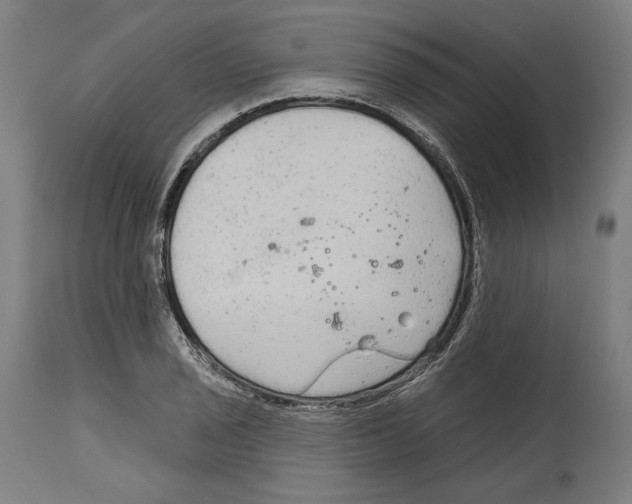 X0000114441029200911131511