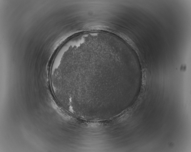 X0000114441031200911131511