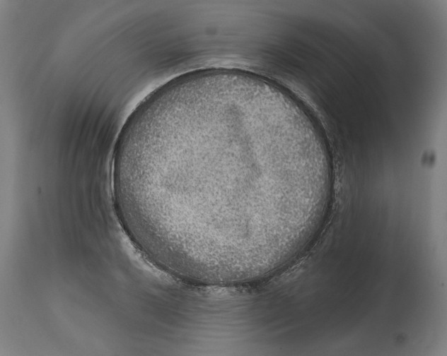 X0000114441032200911131511