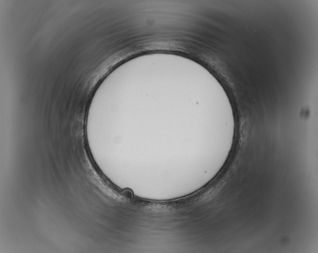 X0000114441033200911131511