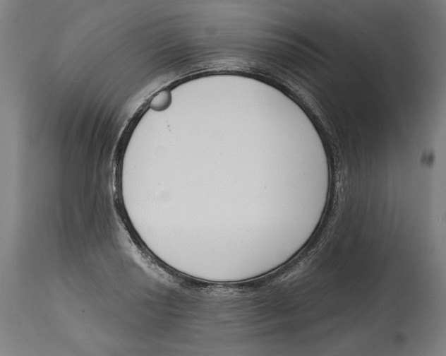 X0000114441034200911131511