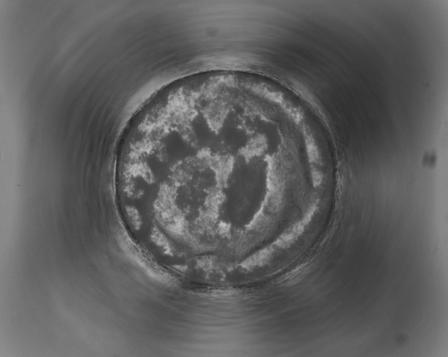 X0000114441035200911131511