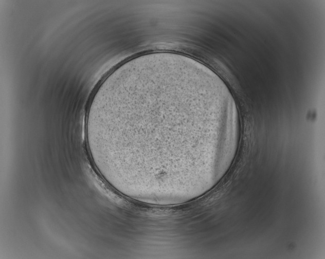 X0000114441036200911131511