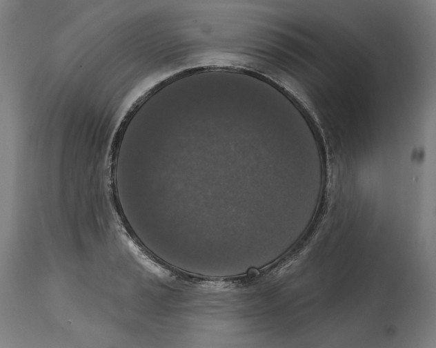 X0000114441037200911131511