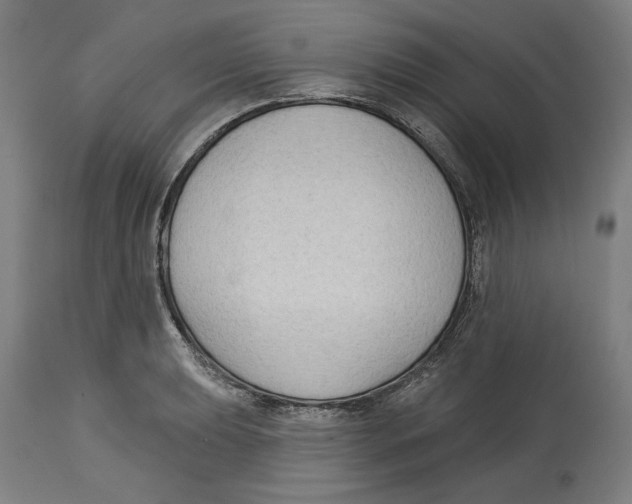 X0000114441039200911131511