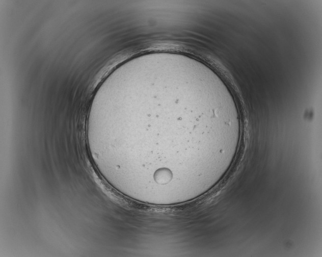 X0000114441041200911131511