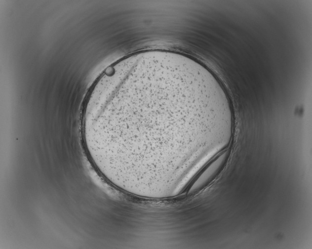 X0000114441042200911131511