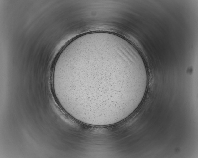 X0000114441043200911131511