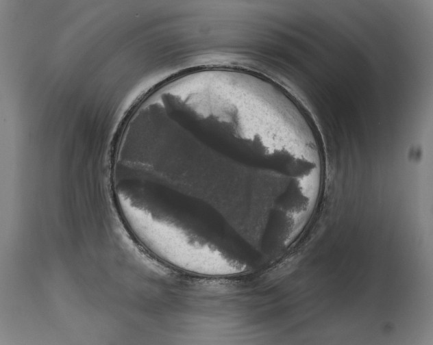 X0000114441045200911131511