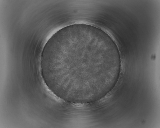 X0000114441048200911131511