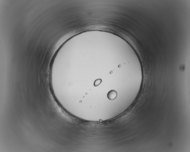 X0000114441050200911131511