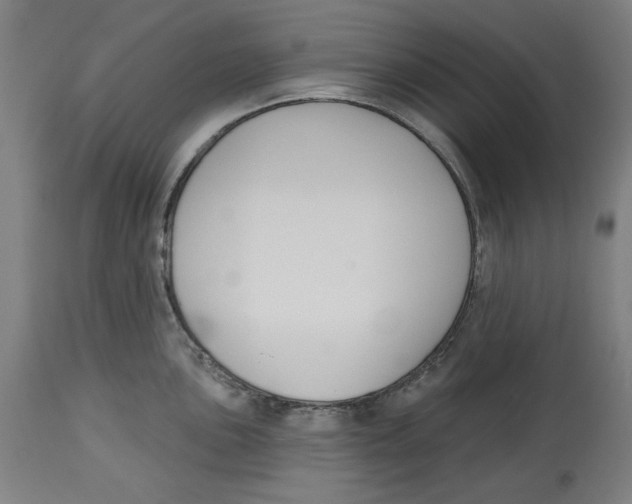 X0000114441051200911131511