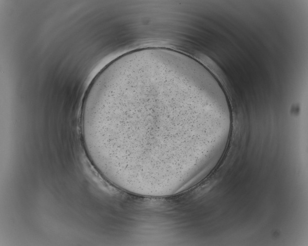 X0000114441052200911131511