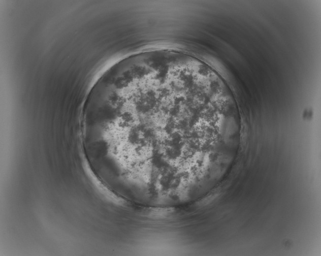 X0000114441055200911131511