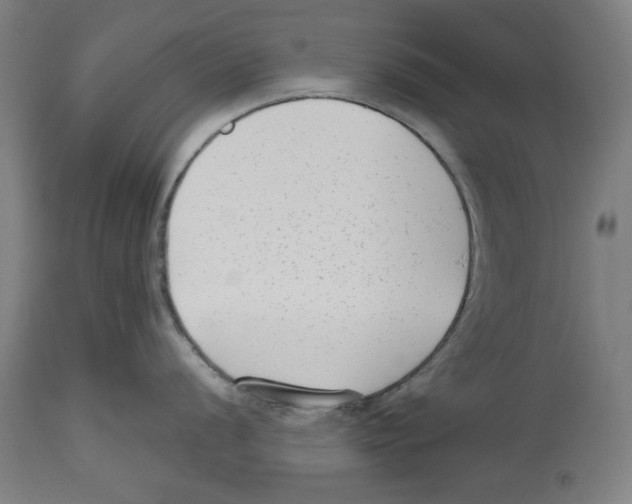 X0000114441056200911131511