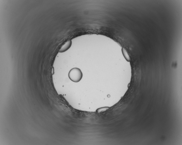 X0000114441057200911131510