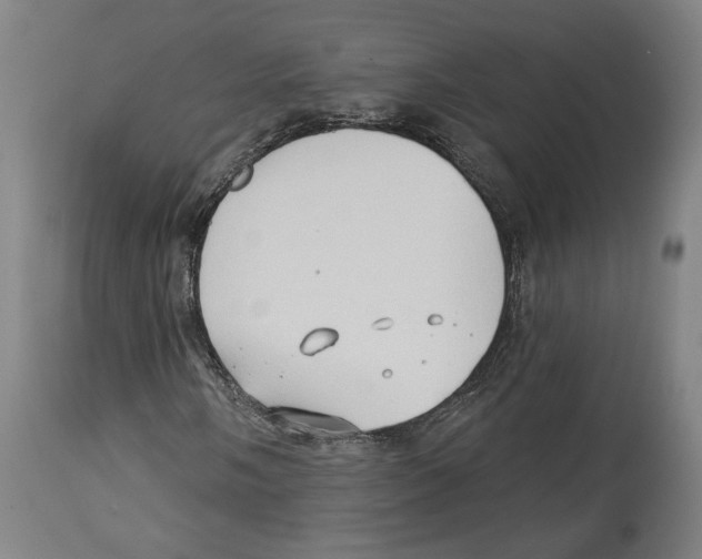 X0000114441058200911131510