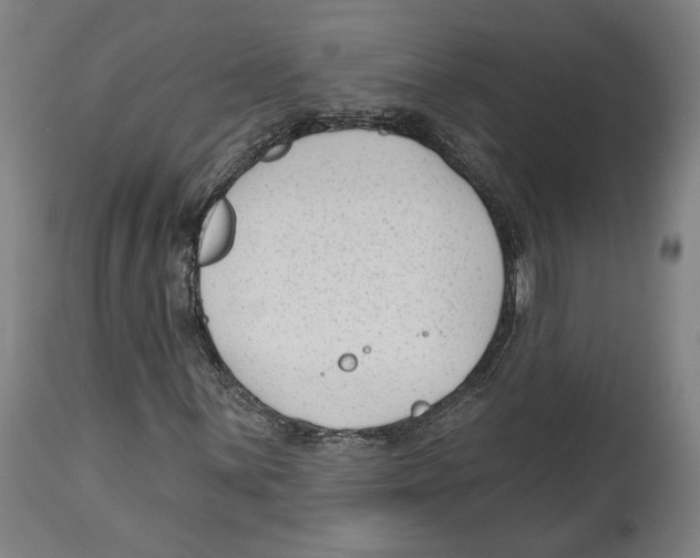 X0000114441059200911131510