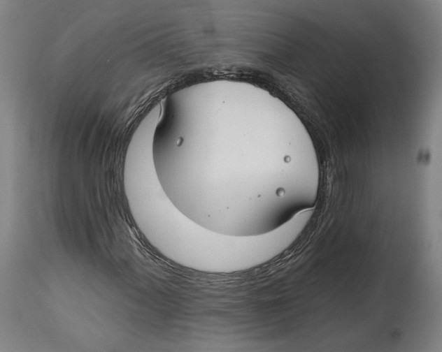 X0000114441060200911131510