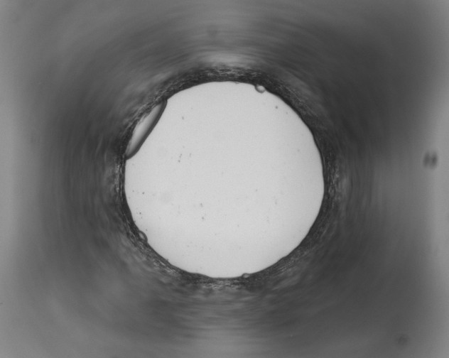 X0000114441061200911131510