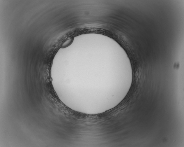 X0000114441062200911131510