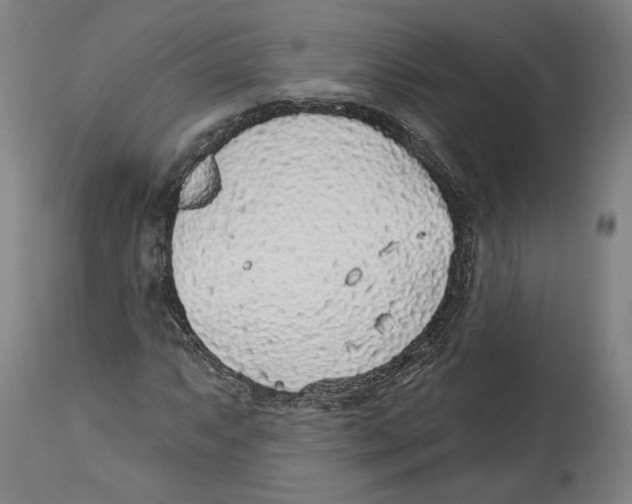 X0000114441063200911131510