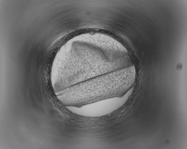 X0000114441064200911131510