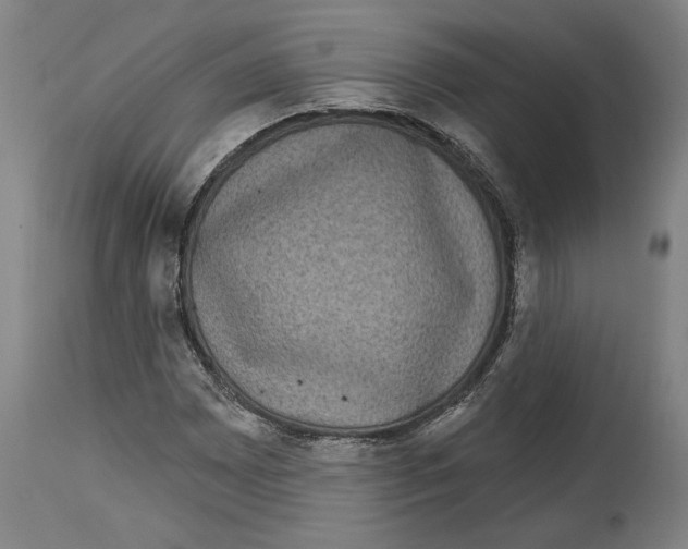 X0000114441065200911131510