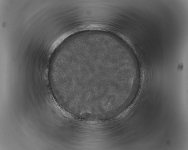 X0000114441066200911131510