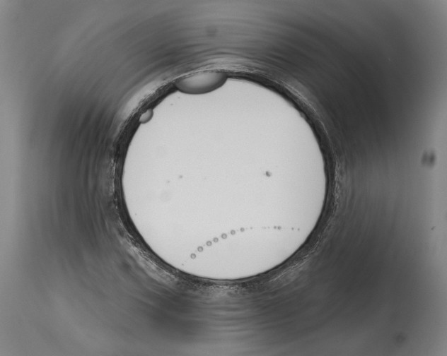 X0000114441067200911131510