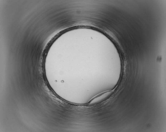 X0000114441068200911131510