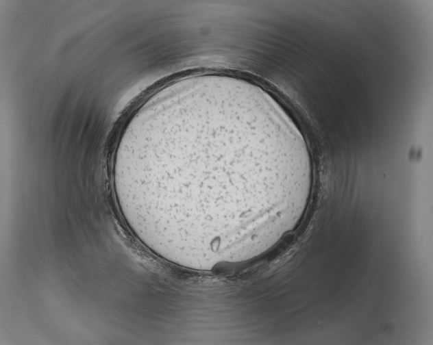 X0000114441070200911131510