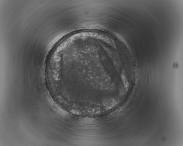 X0000114441071200911131510