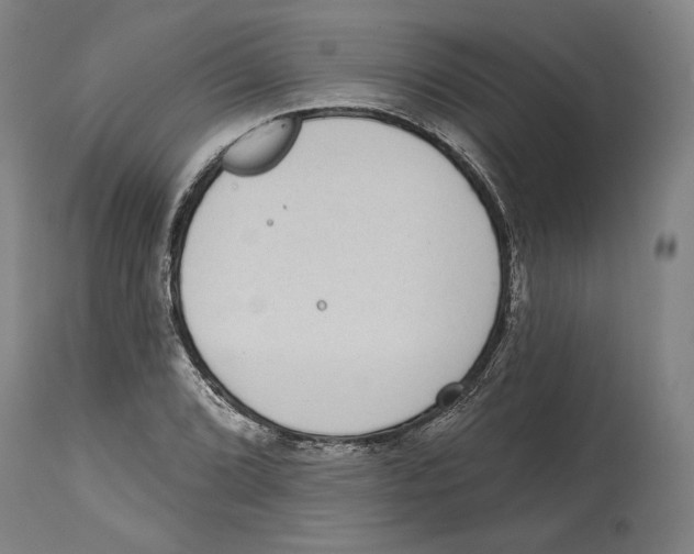 X0000114441072200911131510