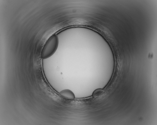 X0000114441073200911131510