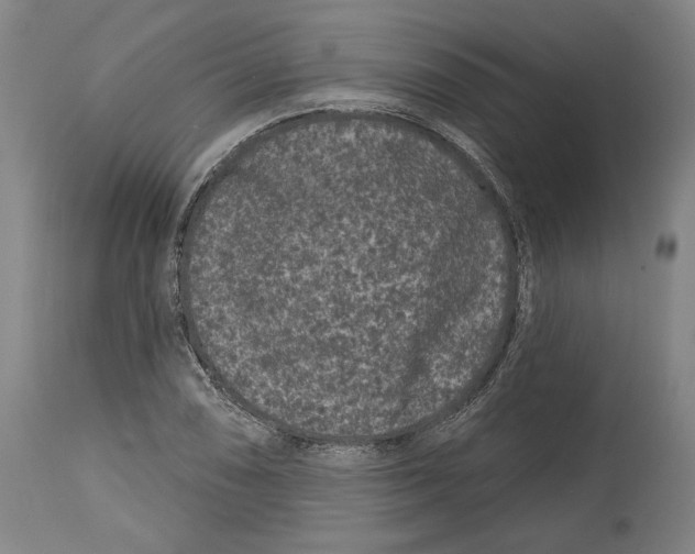 X0000114441074200911131510