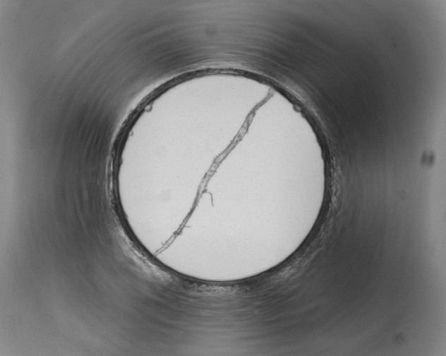 X0000114441076200911131510