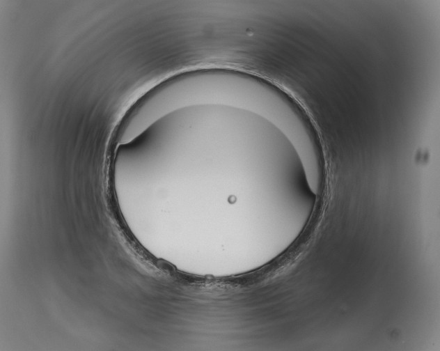 X0000114441077200911131510