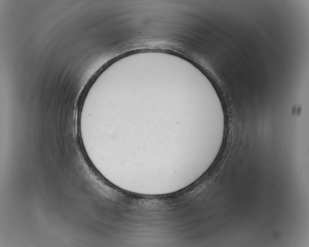 X0000114441079200911131510