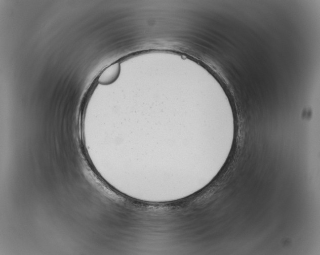 X0000114441080200911131510