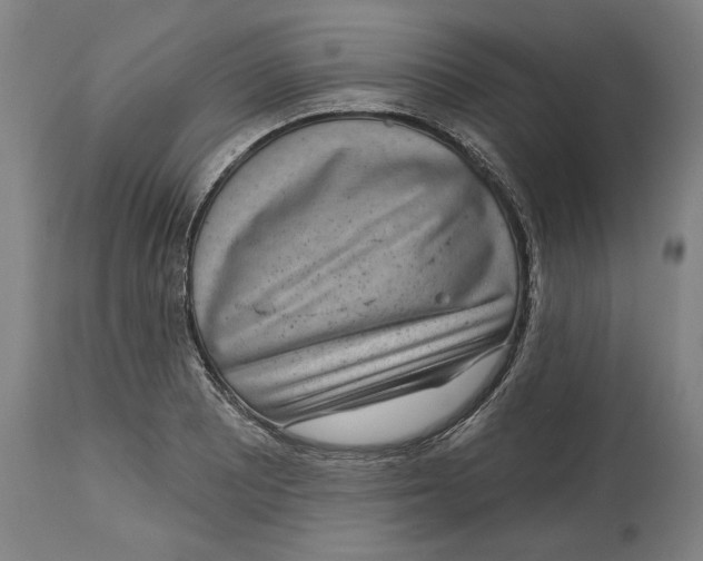 X0000114441081200911131510