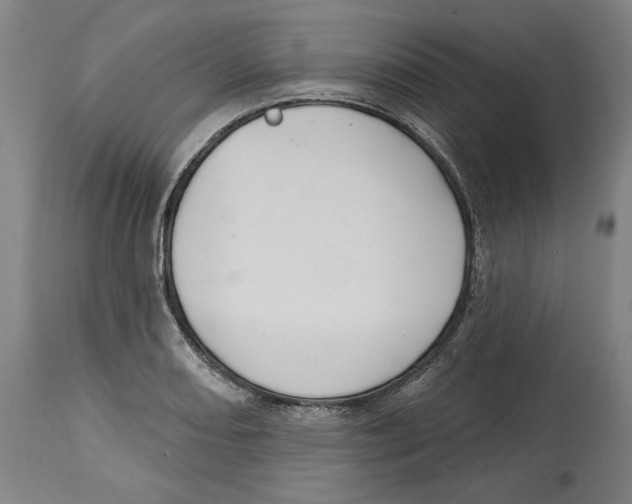 X0000114441082200911131510