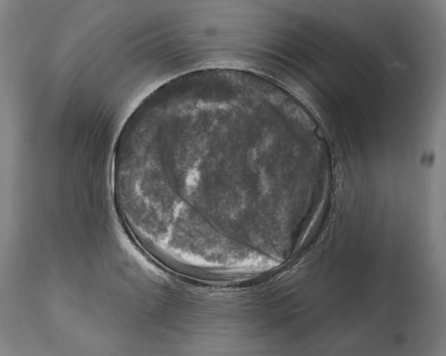 X0000114441084200911131510